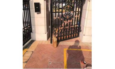 QN-90 Roller Automatic Swing Gate Motor Application for Residential Communities